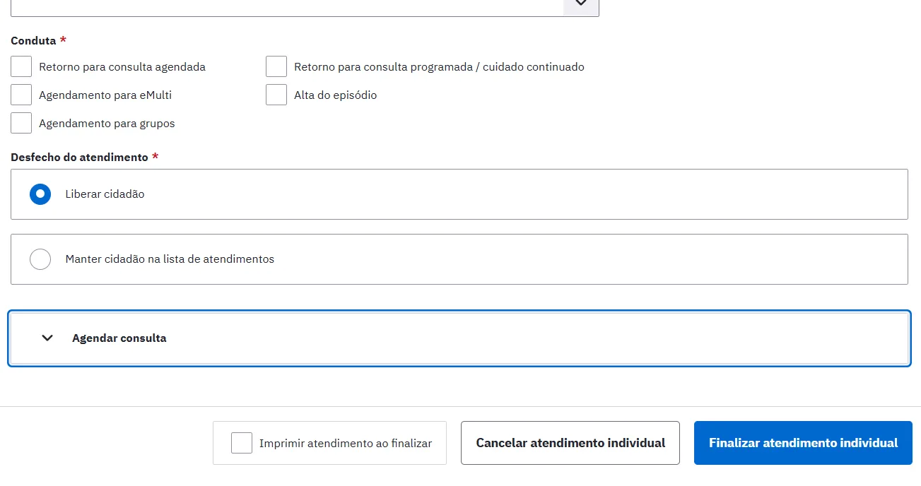 Botão “Finalizar atendimento individual” no rodapé da finalização.